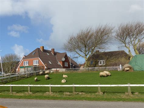 HUS HALLIGBLICK: See Reviews and 4 Photos (Hallig Hooge, .